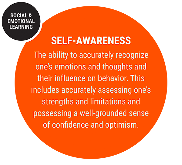 Social and Emotional Learning – Identity, Inc.